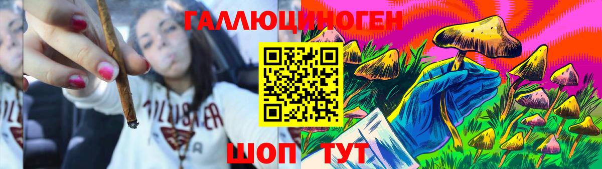 Псилоцибиновые грибы прущие грибы Краснодар