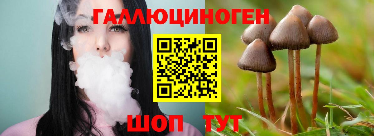 Краснодар  Псилоцибиновые грибы MAGIC MUSHROOMS  где купить наркоту  Вход с VPN 